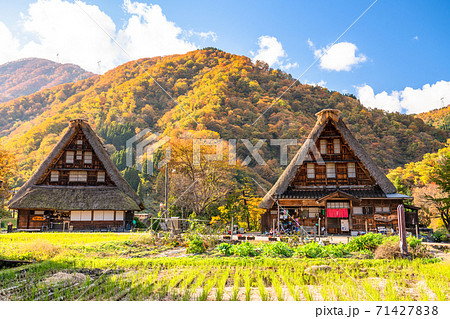 《富山県》黄葉の菅沼合掌造り集落・日本の原風景 71427838