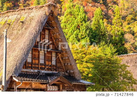 《富山県》黄葉の菅沼合掌造り集落・日本の原風景 71427846