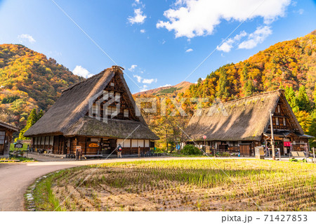 《富山県》黄葉の菅沼合掌造り集落・日本の原風景 《富山県》黄葉の菅沼合掌造り集落・日本の原風景 71427853