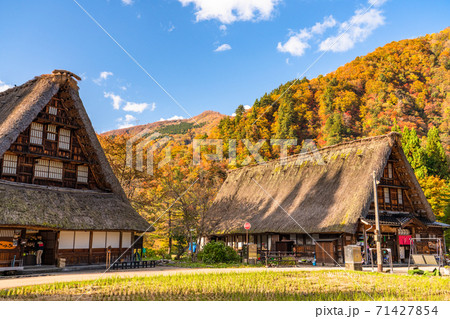 《富山県》黄葉の菅沼合掌造り集落・日本の原風景 《富山県》黄葉の菅沼合掌造り集落・日本の原風景 71427854