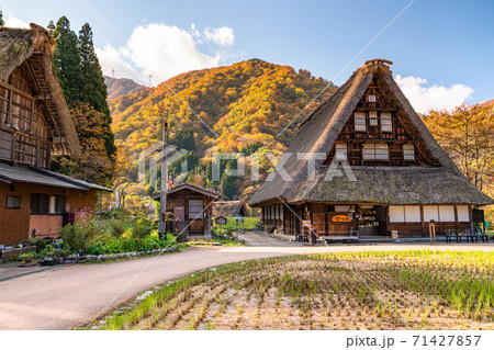 《富山県》黄葉の菅沼合掌造り集落・日本の原風景 71427857