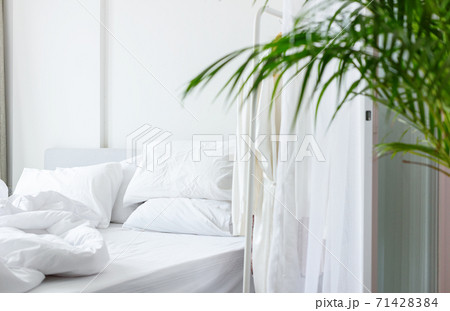 White bed with pillow, blanket Green house plant 71428384