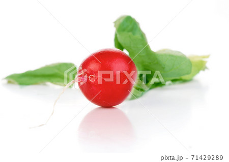 Stock Photo of Still Life Food and Drink in Studio 71429289