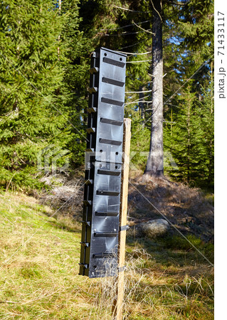 Bark beetle pheromone trap in a mountain forest. Bark beetle pheromone trap in a mountain forest. 71433117