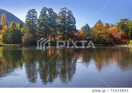 湯布院　金鱗湖の紅葉 71433842
