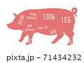 American primal pork meat cuts diagram 71434232