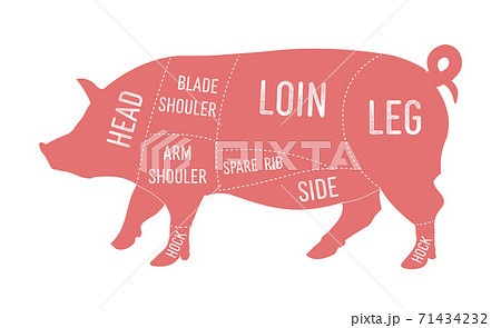 American primal pork meat cuts diagram American primal pork meat cuts diagram 71434232