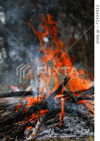 Burning coal in the bonfire. 71434911