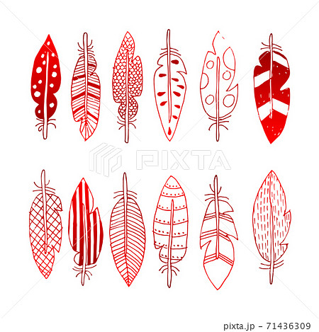 vector feathers with abstract drawings 71436309