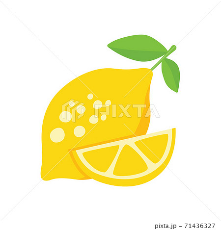vector lemon on white background vector lemon on white background 71436327