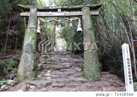 稲佐神社　稲佐神社肥前鳥居 71436560