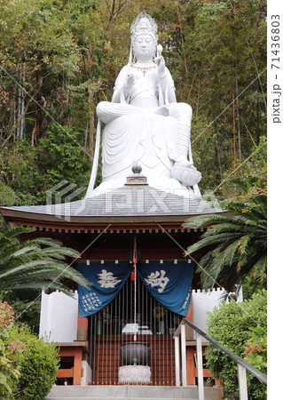 東照寺 身代り観音 東照寺 身代り観音 71436803