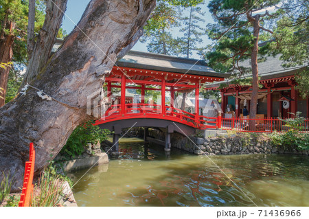 神池と御神橋【生島足島神社】 神池と御神橋【生島足島神社】 71436966