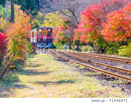 紅葉とわたらせ渓谷鉄道 71436971