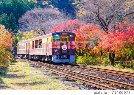 紅葉を走るわたらせ渓谷鉄道 71436972