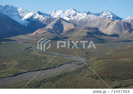 アラスカ デナリ国立公園 アラスカ デナリ国立公園 71437303