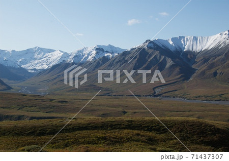 アラスカ　デナリ国立公園 71437307