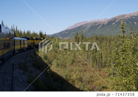 アラスカ鉄道の旅路 71437358