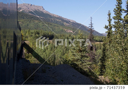 アラスカ鉄道の旅路 71437359