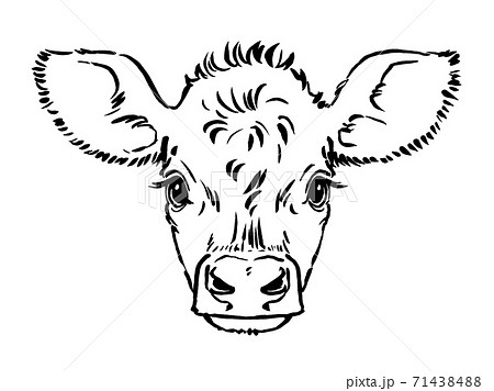 How to draw A Jersey Cow II Jersey Cow drawing II artjanag  YouTube