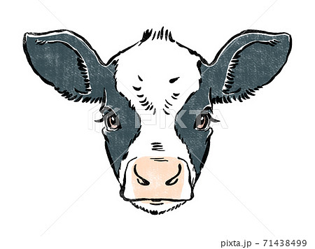 ホルスタインの仔牛 版画風のイラスト素材