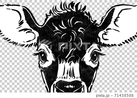 ジャージー牛の仔牛の顔をアップにトリミング 版画風 墨一色のイラスト素材