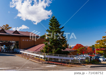 山梨県　紅葉シーズン　山中湖村　森の駅　 71438752