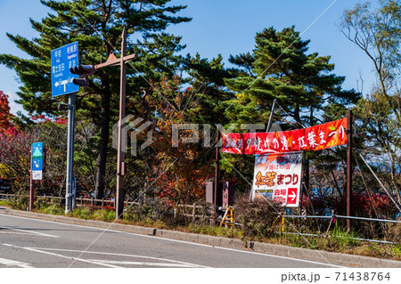 山梨県　秋の山中湖紅葉まつり　旭日丘湖畔緑地公園 71438764