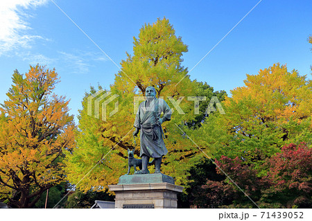 東京散歩 上野恩賜公園 西郷隆盛像 東京散歩 上野恩賜公園 西郷隆盛像 71439052