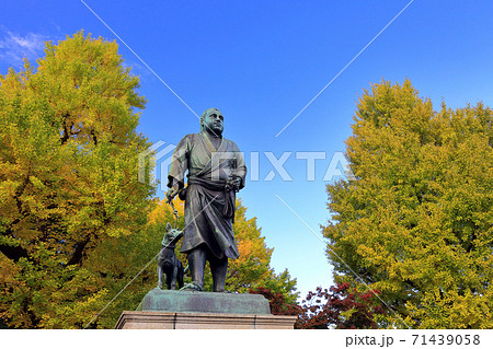 東京散歩 上野恩賜公園 西郷隆盛像 東京散歩 上野恩賜公園 西郷隆盛像 71439058
