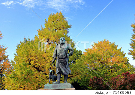 東京散歩 上野恩賜公園 西郷隆盛像 東京散歩 上野恩賜公園 西郷隆盛像 71439063