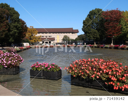 上野公園 上野公園 71439142