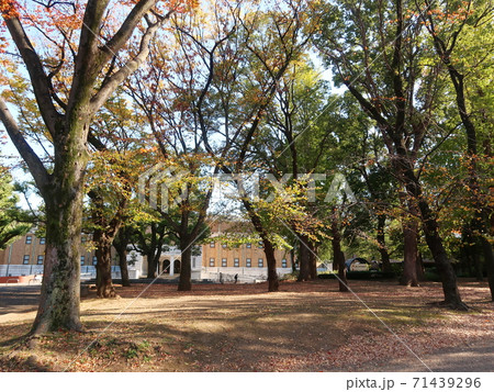 上野公園 上野公園 71439296