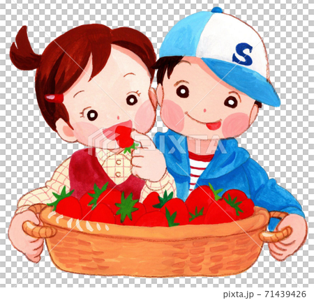 いちごを食べる子ども いちご狩り バスケットのイラスト素材