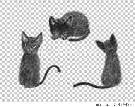 Illustration black cat Illustration black cat 71439458