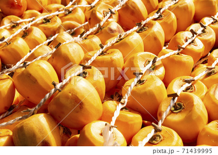 山梨の美味しい枯露柿 山梨の美味しい枯露柿 71439995