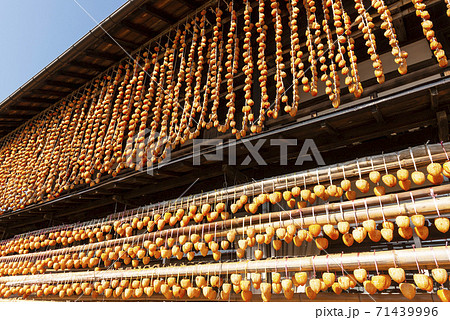 山梨の美味しい枯露柿 山梨の美味しい枯露柿 71439996