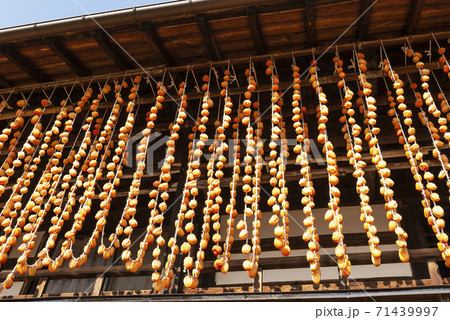 山梨の美味しい枯露柿 山梨の美味しい枯露柿 71439997