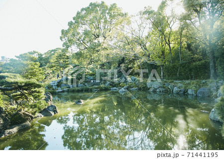 タイトル 清澄公園 自然 タイトル 清澄公園 自然 71441195