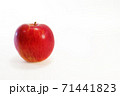 林檎 71441823