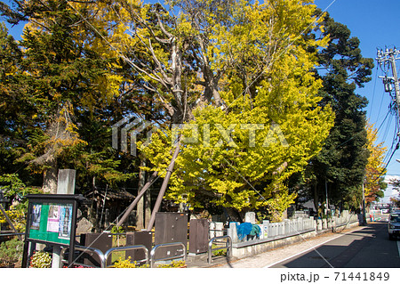 布市神社 布市神社 71441849