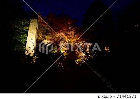 亀岡市　神蔵寺　ライトアップ 71441871