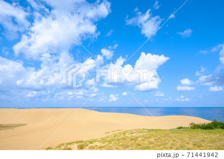 鳥取砂丘 鳥取砂丘 71441942