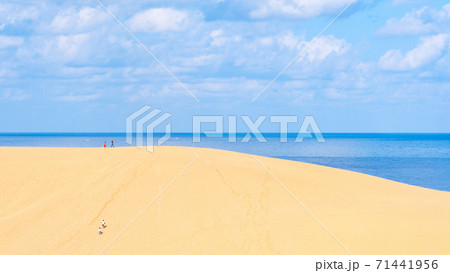 鳥取砂丘 71441956