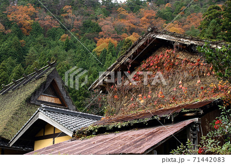 美山 紅葉 美山 紅葉 71442083