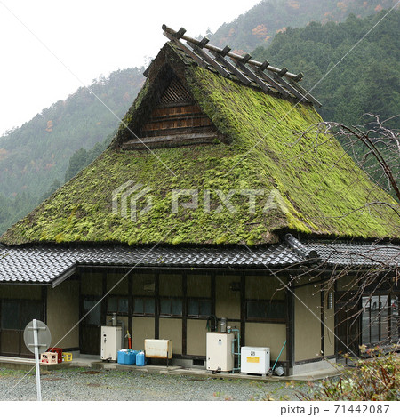 美山 紅葉 美山 紅葉 71442087