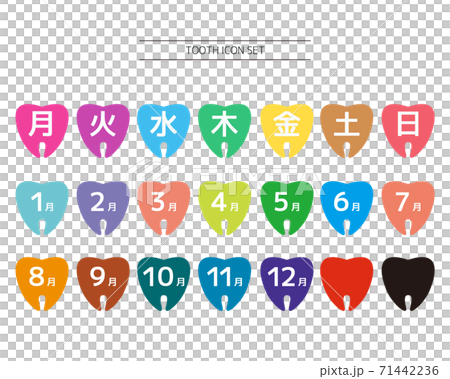 Tooth vector illustration set icon calendar Tooth vector illustration set icon calendar 71442236
