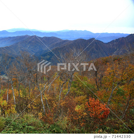 八海山 ロープウエイ 紅葉 八海山 ロープウエイ 紅葉 71442330