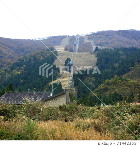 八海山 ロープウエイ 紅葉 八海山 ロープウエイ 紅葉 71442355