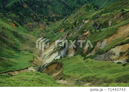 志賀草津高原道路 71442743